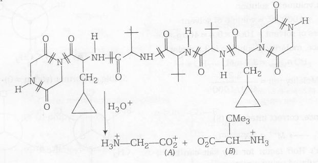 2232021746_chemi.JPG