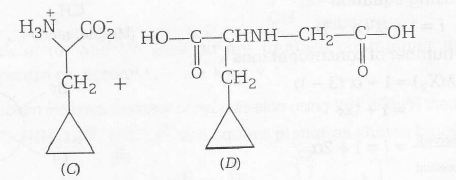 2232021854_chemi2.JPG